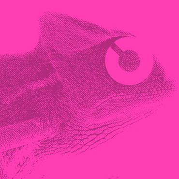 Renascer do camaleão